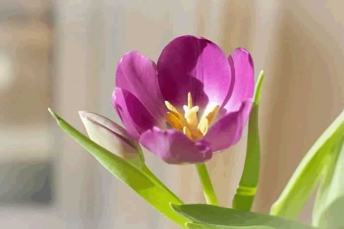 容易背叛感情的人，和异性相处中，一般有以下几个特点_伊度情感