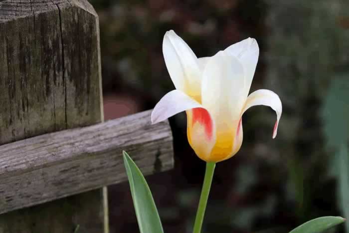 容易背叛感情的人，和异性相处中，一般有以下几个特点_伊度情感