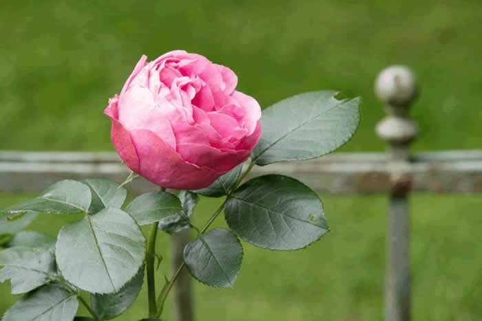 女人对你动情的三个表现，别错过了_伊度情感