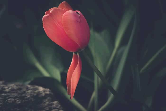 一个男人,不主动和你聊以下三个话题,就是不爱你了_伊度情感