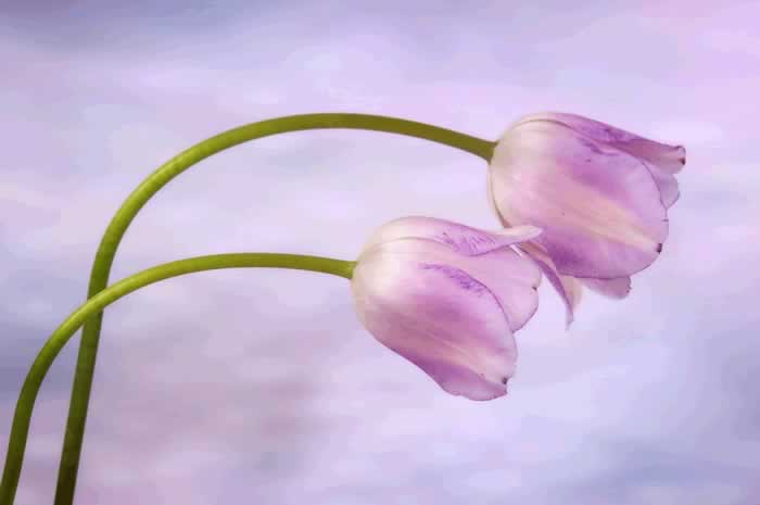 一个男人,不主动和你聊以下三个话题,就是不爱你了_伊度情感