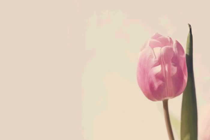 一个男人,不主动和你聊以下三个话题,就是不爱你了_伊度情感