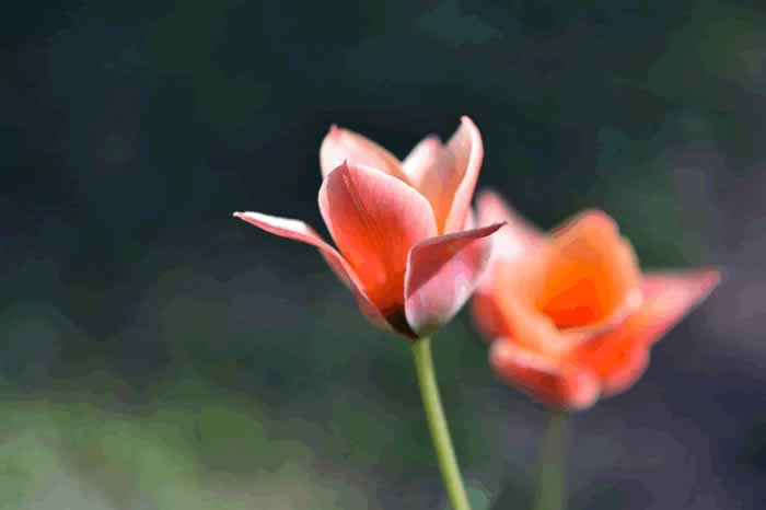 一个男人,不主动和你聊以下三个话题,就是不爱你了_伊度情感