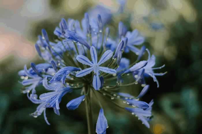 撩中年女人，其实很简单，抓住她的软肋就可以了_伊度情感