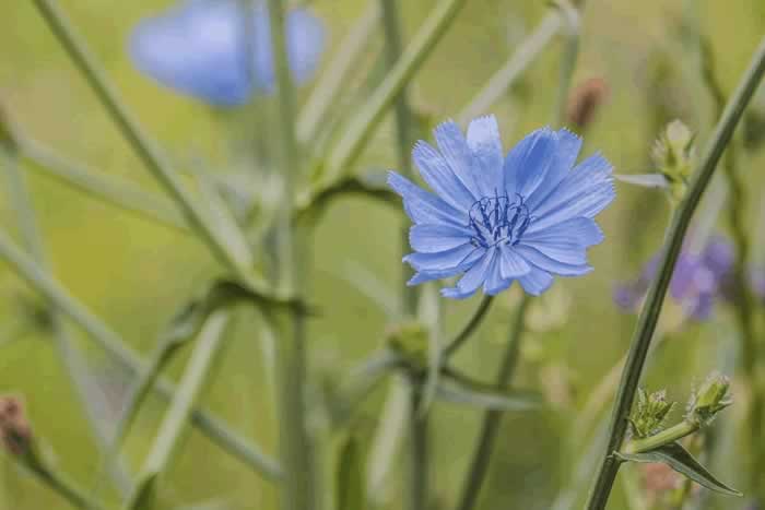 撩中年女人，其实很简单，抓住她的软肋就可以了_伊度情感