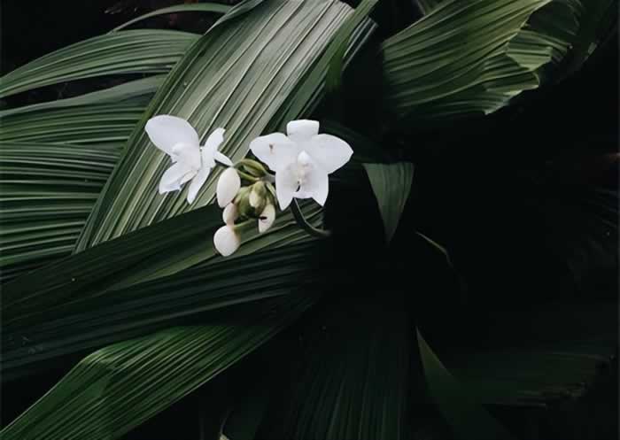 为什么，经历背叛的婚姻里，需要被背叛的一方做出“改变”？_伊度情感