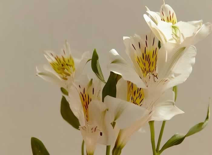 为什么，经历背叛的婚姻里，需要被背叛的一方做出“改变”？_伊度情感