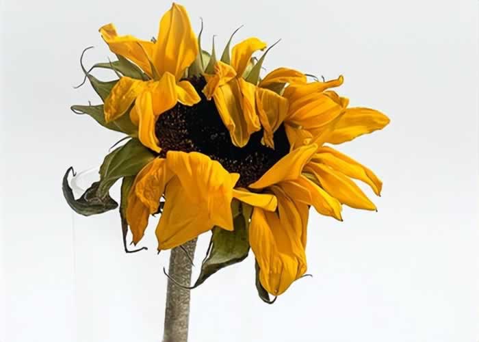 为什么，经历背叛的婚姻里，需要被背叛的一方做出“改变”？_伊度情感