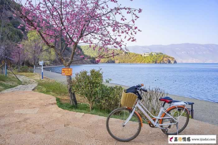 男人光说不做只会画大饼？巧用关键四步骤，轻松引导他为你付出_伊度情感