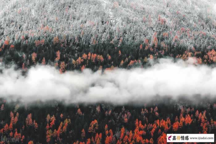 让男人持续性上瘾的，是这些“心机”和“套路”，还不速速拿捏？_伊度情感