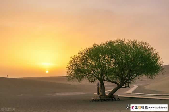 怎样才能理智又解气的“手撕”婚外女?抓住这三招,轻松事半功倍_伊度情感