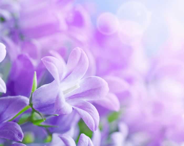 女人说：“我喜欢你，但不能和你在一起”，是什么意思？_伊度情感