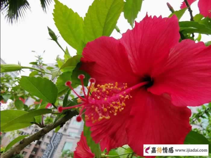 你对某男一见钟情,他第一次约见你就约到家里玩,你会去吗?_伊度情感