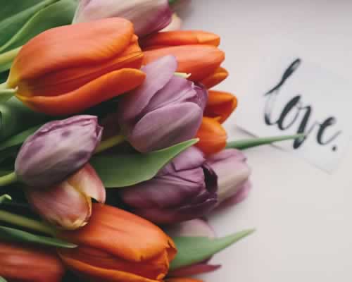 如何快速有效的击退婚姻中的第三者，重建信任与亲密关系