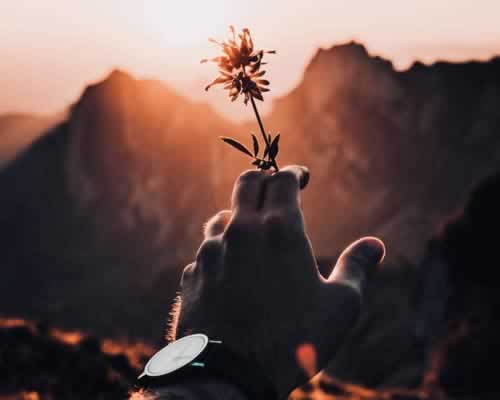 老公出轨后想回归家庭又不舍得小三，想挽回婚姻的原配该怎么办？