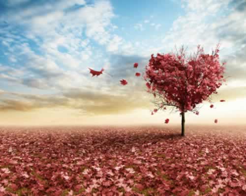 如何判断一个男生是妈宝男还是孝顺？