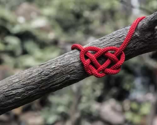 男人背叛后，女人最好的自救方式