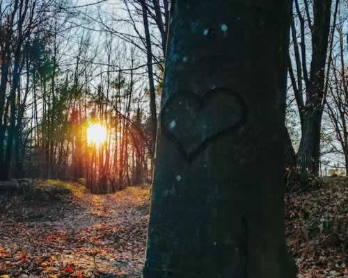 有孩子容易离婚否，婚姻挽回的策略