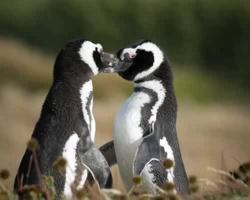 想脱单？光想没用，最后一句才是真相！