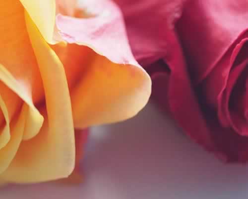 一个女人如果特别爱一个男人，男人是不是就不在乎她了？