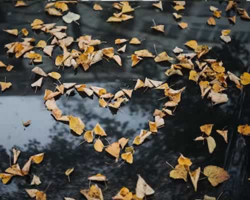 老公抖音上关注的都是美女是什么心理