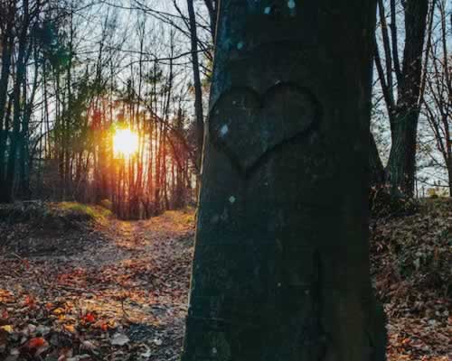 “太在意”真的会毁掉一段关系，关系里需要松弛感！